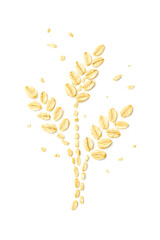 Oatmeal Flour Artwork: A meticulously arranged composition of oatmeal flakes forms an artistic wheat-like shape, creating an aesthetic design, ideal for culinary or healthy living.