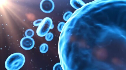 Microscopic visualization of blue human blood cells flowing through vessels, depicting circulation and oxygen transport within the body. - Powered by Adobe