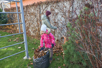 Sisters collecting autumn leaves in backyard garden