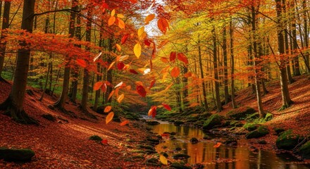 Autumn leaves falling into a stream in a forest with orange and red leaves.