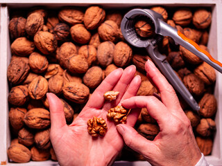 Freshly cracked walnuts over a box of nuts