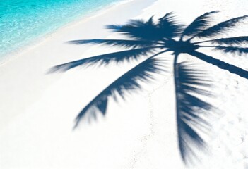 Shadow of coconut palm tree on white sand beach next to turquoise water, summer background