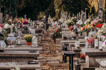 Cmentarne alejki za dnia