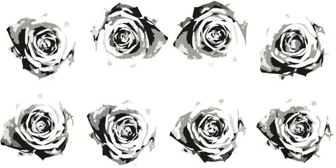 Monochrome roses pattern floral design in black white and grey tones
