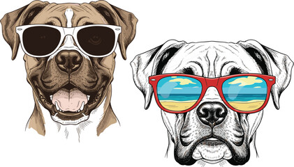 Hand drawn vector illustration of cool boxer dogs wearing sunglasses, funny puppy portraits isolated on white, summer vacation vibe, fashion pet accessories, sketch style.