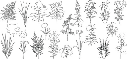 set of shrubs and grass line cad, Ground cover. Illustration for elevation architectural element, side view, grass section. vector illustration