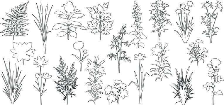 set of shrubs and grass line cad, Ground cover. Illustration for elevation architectural element, side view, grass section. vector illustration
