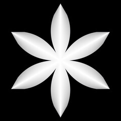 Simple white flower isolated on black background.