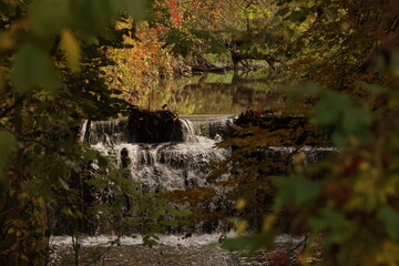A small, tranquil waterfall or weir on a forest river, framed by colorful autumn leaves.