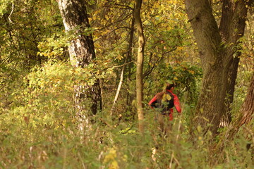 A person in a red jacket walking through a dense, sunlit autumn forest, exploring the wilderness.
