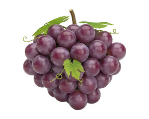 Fototapeta premium Cluster of ripe purple globe-shaped berries with attached stem and leaves is isolated against a dark background
