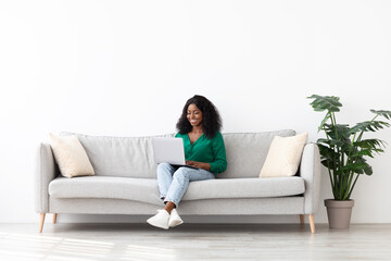 Obraz premium A woman with curly hair sits on a gray sofa, happily using a laptop. The room is bright and features green indoor plants, creating a cozy atmosphere.