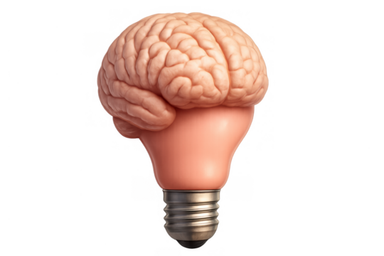 Brain forming a light bulb shape, symbolizing the generation of new ideas, problem-solving, and intellectual inspiration