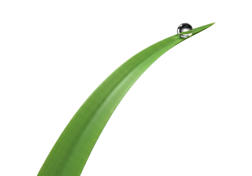 Transparent sphere of liquid rests upon the curved edge of a bright green botanical blade against a dark background.