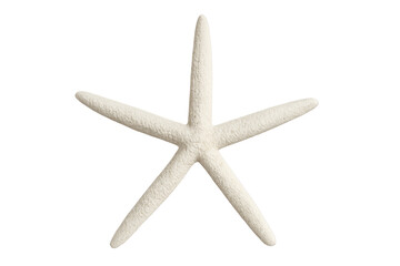 Fototapeta premium White five-armed starfish showcasing marine life and ocean wonders on transparent background