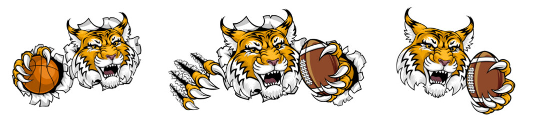 Wildcat Bobcat Sport Team Mascot Illustration &ndash; American Football & Basketball Animal Logo Design