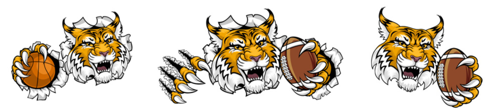 Wildcat Bobcat Sport Team Mascot Illustration &ndash; American Football & Basketball Animal Logo Design