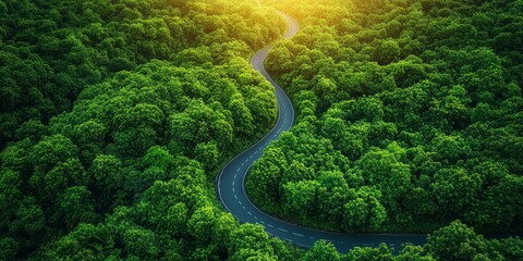 A serene winding road meanders through a vibrant green forest, illuminated by the warm glow of sunrise