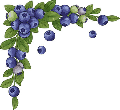 Create a fresh blueberries with leaves corner frame top view vector art with white background..