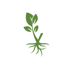 Green sprout with roots isolated on symbolizes growth, nature, and sustainability, perfect for ecofriendly brands and environmental projects