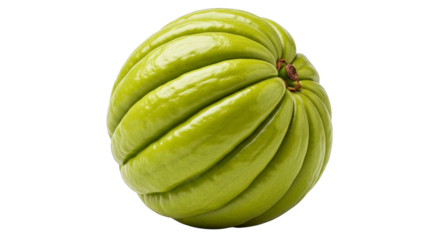 An elegant white Fantail pigeon stands proudly against a black background in a close up shot.