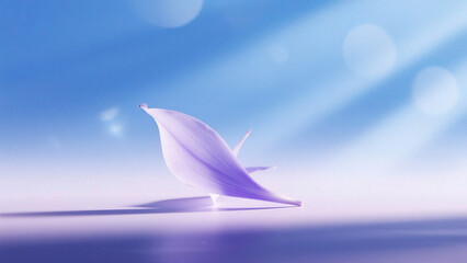 Single purple flower petal in light