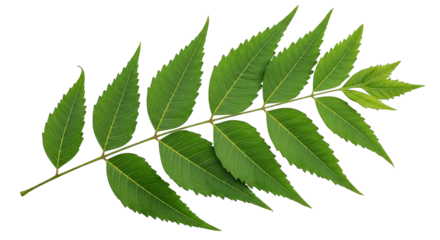Close-up showcases the rough texture and detail of weathered hands on a black background.