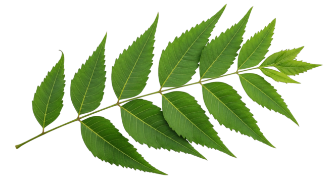 Close-up showcases the rough texture and detail of weathered hands on a black background.