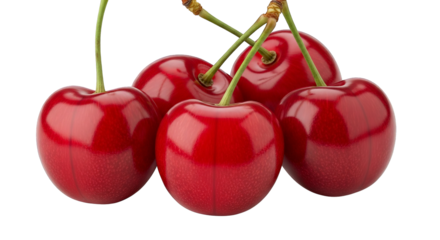 Detailed cross-section shows delicate purple veins and speckles within a white root vegetable flesh.