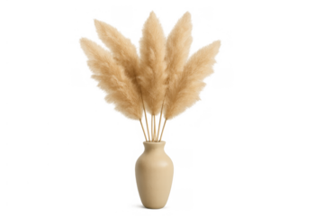 Pampas grass plumes in beige ceramic vase decorating modern minimalist home interior, transparent background