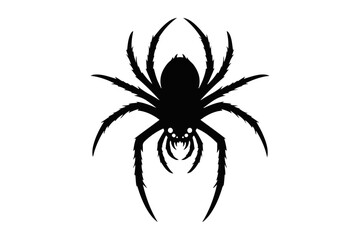 Silhouetted Black Spider with Sharp Fangs and Multiple Legs, Symbolizing Arachnids and Insects