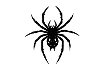 A Detailed Black Silhouette of a Spider on a White Background
