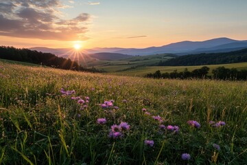 Fototapeta premium Sunset over rolling hills with wildflowers in foreground, casting warm light on peaceful rural landscape with distant mountains and partly cloudy sky