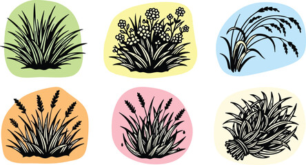 Set of six different grass plants silhouette vector illustration with colorful background shapes natural garden flora design