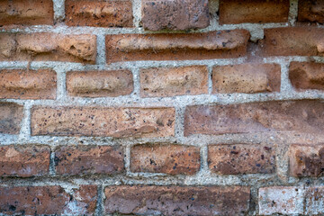Close-up view of an old brick wall with weathered texture and vintage detail.

