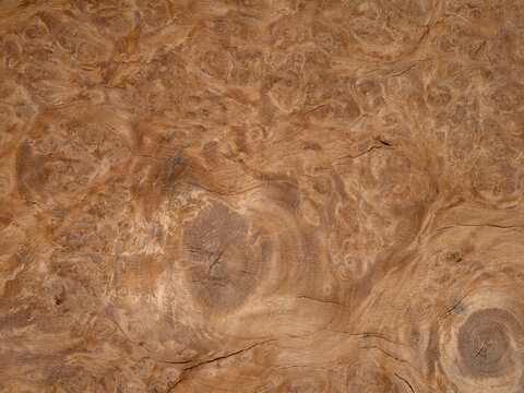 Oak burl veneer showcasing intricate swirls and rich, complex patterns