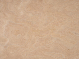 Fototapeta premium Soft swirls of pale cream and subtle beige, this birch burl veneer radiates with a tranquil, airy elegance