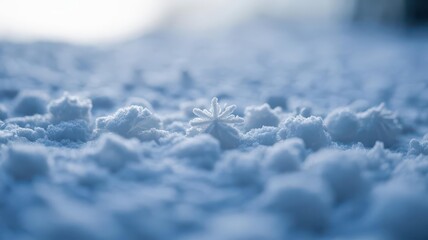 Obraz premium Macro snowflake on frosty snow — backlit icy-blue bokeh, greeting card