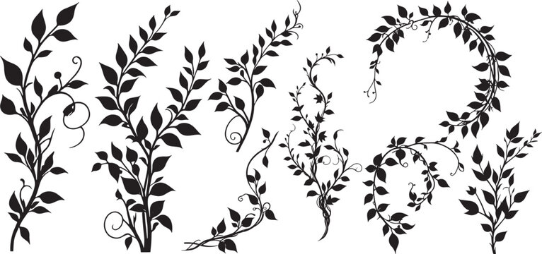 silhouettes of various floral branches and leaf vines. vector illustration