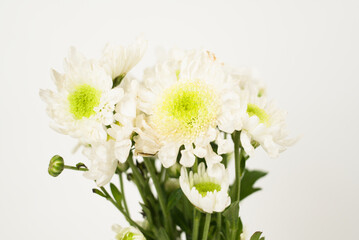 White Chrysanthemum Bouquet