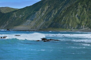 The Black sand beach of the Cook Strait