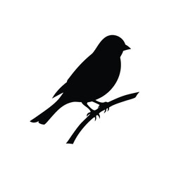 Obraz premium Bird Silhouette Perched on a Branch