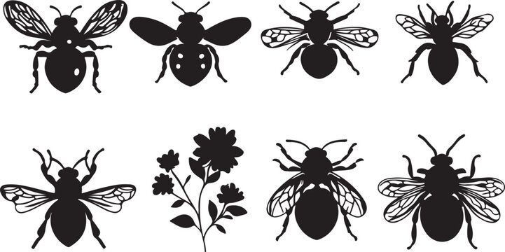 Set of black insect and bug silhouette vector icons for collection design pattern