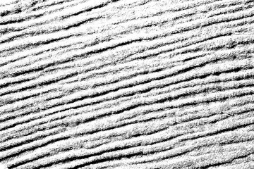 Textile texture with organic wavy ribbing and visible weave, isolated on a transparent background.