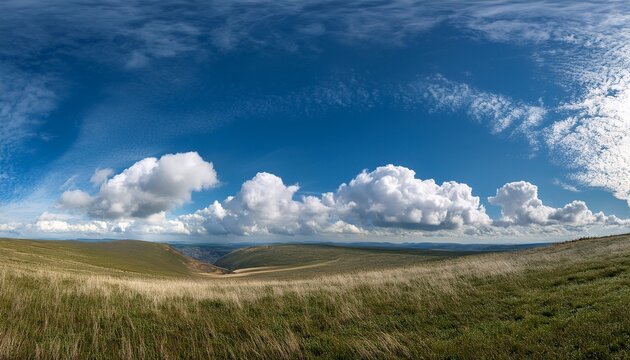Grassland desktop wallpaper - Powered by Adobe