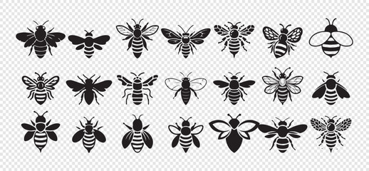 Diverse set of bee silhouettes isolated on transparent background honeybee bumblebee hornet wasp bug