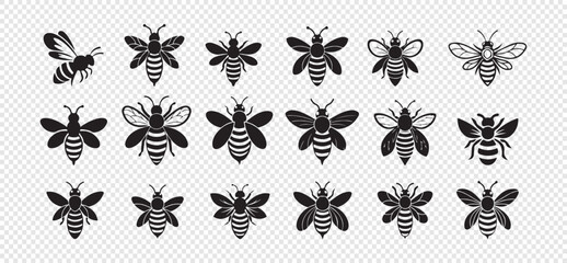 Fototapeta premium Set of black bee icon isolated on transparent background vector illustration for design