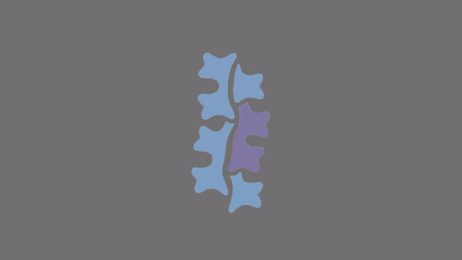 Minimalist Spine Alignment Orthopedic Icon Vector