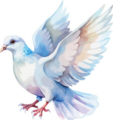 Obraz premium Peaceful Flying Dove Bird Vector Watercolor Illustration