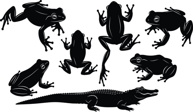 Amphibian and reptile silhouettes collection featuring various frog poses and crocodile vector illustration.